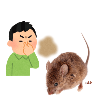 rodent smell